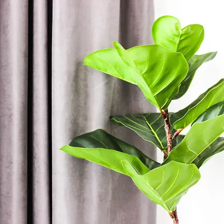 Golden Wave Escape H27