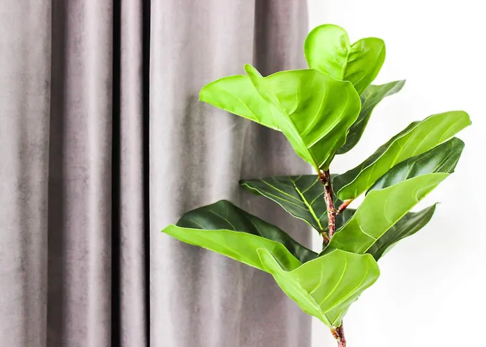 Golden Wave Escape H27